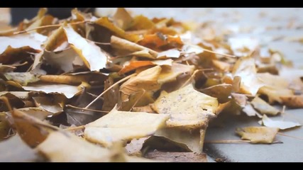 Petra Ivanovic - Nisam Od Kamena( Official Video )