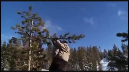 Jackass !!