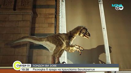 Лондон на достъпни цени: Как да разгледаме британската столица с ограничен бюджет