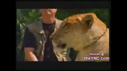 Tiger + Lion = Liger
