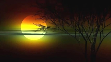 Lukas Greenberg-essence Of Life