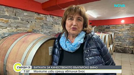 Битката за качественото българско вино: Малките изби срещу евтиния внос