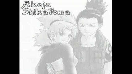 Shikatema.wmv