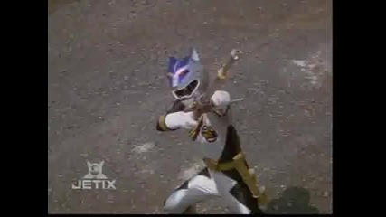 Wild Force Pure Predazord Trans formation 