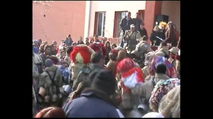 мечките на лесново 3
