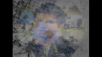 Taylor - contest (x b a b y)