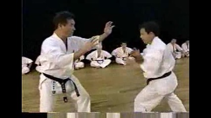 Hatsuo Royama - Kumite.avi