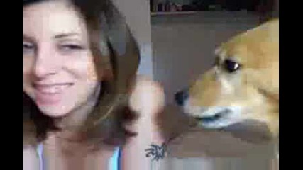 Katy Perry - I kissed a Dog