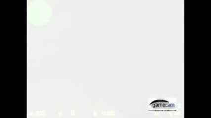 cs bugs