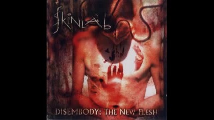 Skinlab - So Far from the Truth 