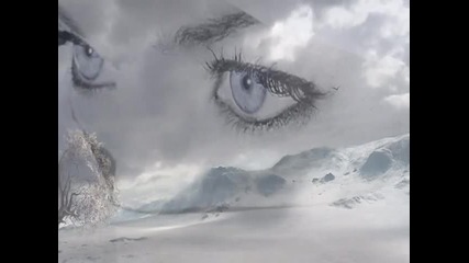 Sting - Desert Rose