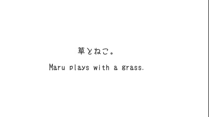Котето Мару си играе със стръкче трева