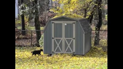 Dog_1_-_cat_0
