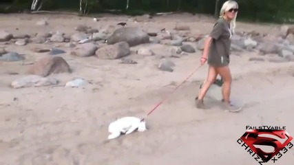 Fail Compilation December 2012