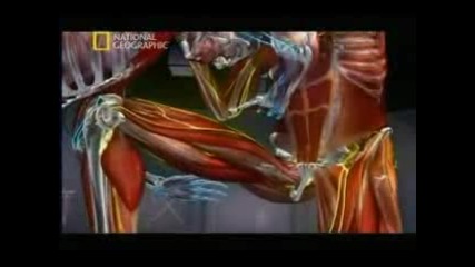 Наука на ръкопашния бой .част 1 (2 - 5)