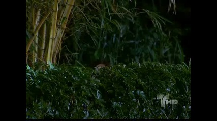 Alguien Te Mira Capitulo 43 (2/5) 