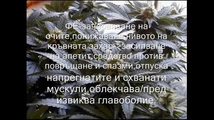 Наркотици