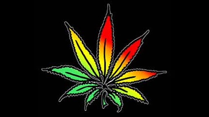 cocoa tea - 18 and over 