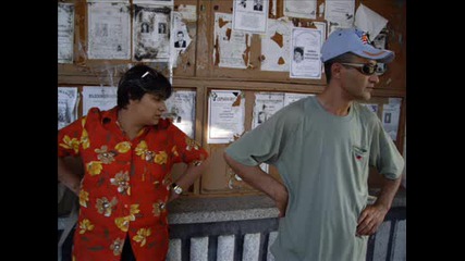 пилико 2008