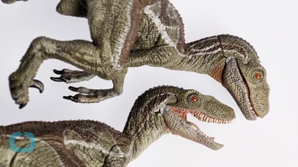 You Can Visit Real Dinosaurs Before Seeing 'Jurassic World'
