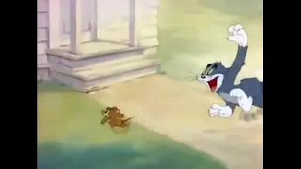 Tom and Jerry 