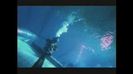 The Majestic Twelve - Trapped Underwater