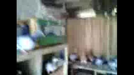 070408113741.3gp