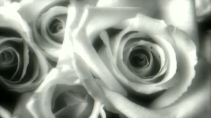 Mariah Carey - Can't let go (1991)
