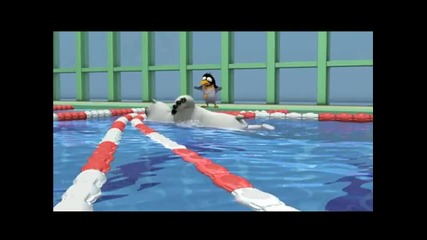 Bernard - Swimming