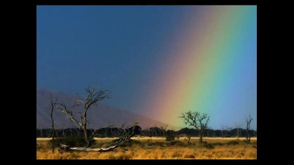 Rainbow - Temple Of The King