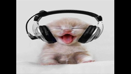 Луд кючек ft. смешни анимации