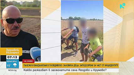 Палежи и вандализъм в Пловдивско: Заловиха деца, заподозрени за част от инцидентите