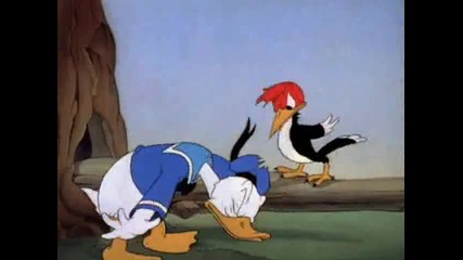 Donald Duck - Donalds Camera and Mr Duck Steps Out 