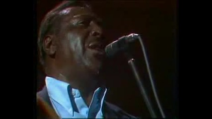 Albert King - As The Years Go Passing By - Live Sweden 1980