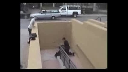 The best clipper of david Belle 