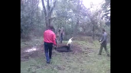 gater