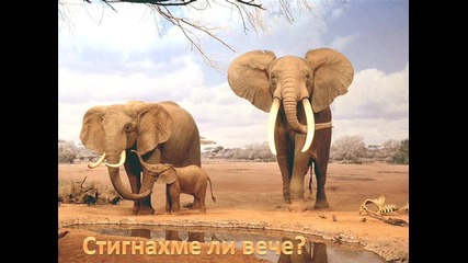 невероятни животни. част 3