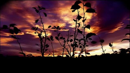 Dj Krush Feat Shuuzan Morita - Still Island (still 'n' Slow Mix)