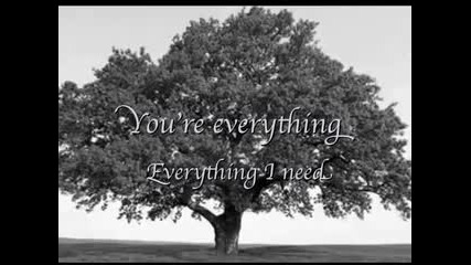 Skillet - You are my Hope Lyrics