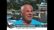 Рибари на война с делфините - Здравей България (22.08.2014г.)