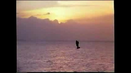 Treasure Island - End Of The Movie