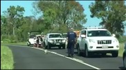 Палава коала затвори път в Австралия
