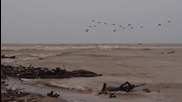 Разливът при устието на Камчия надхвърли 80 метра