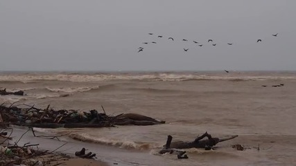 Разливът при устието на Камчия надхвърли 80 метра