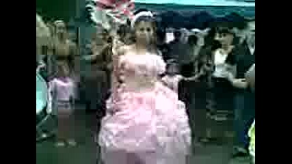 Semeistvo Pile6tari