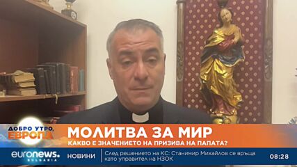 Николай Свинаров: България няма както ресурс, така и нужда от връщане на задължителната казарма