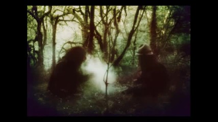 Wolves In The Throne Room- Astral Blood ( Celestial Lineage-2011)