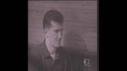 Lloyd Cole Amp The Commotions