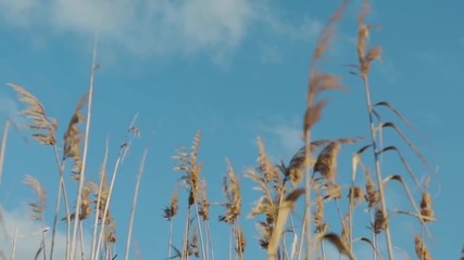 Switchfoot -- Love Alone Is Worth The Fight