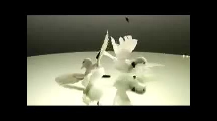 Timbaland - Apologize 